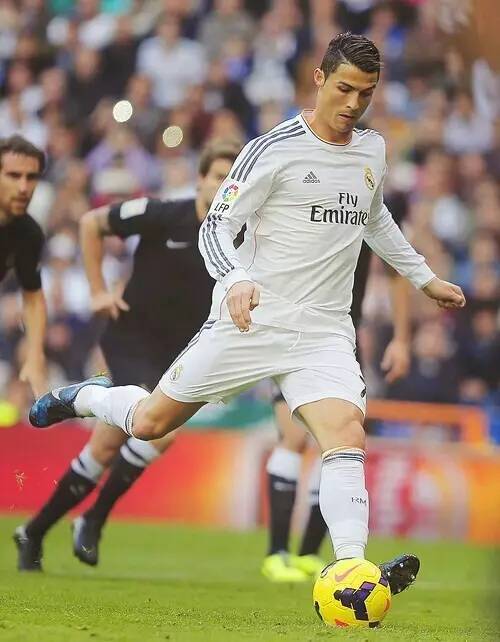 虚拟橄榄球博彩收入占比升至24%